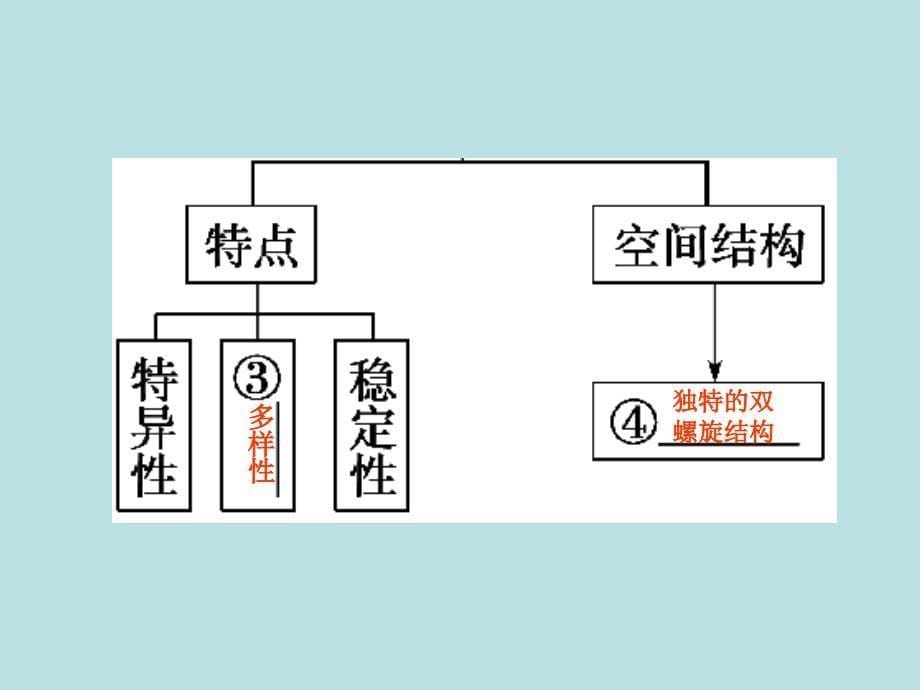 第一部分专题四学案7_第5页