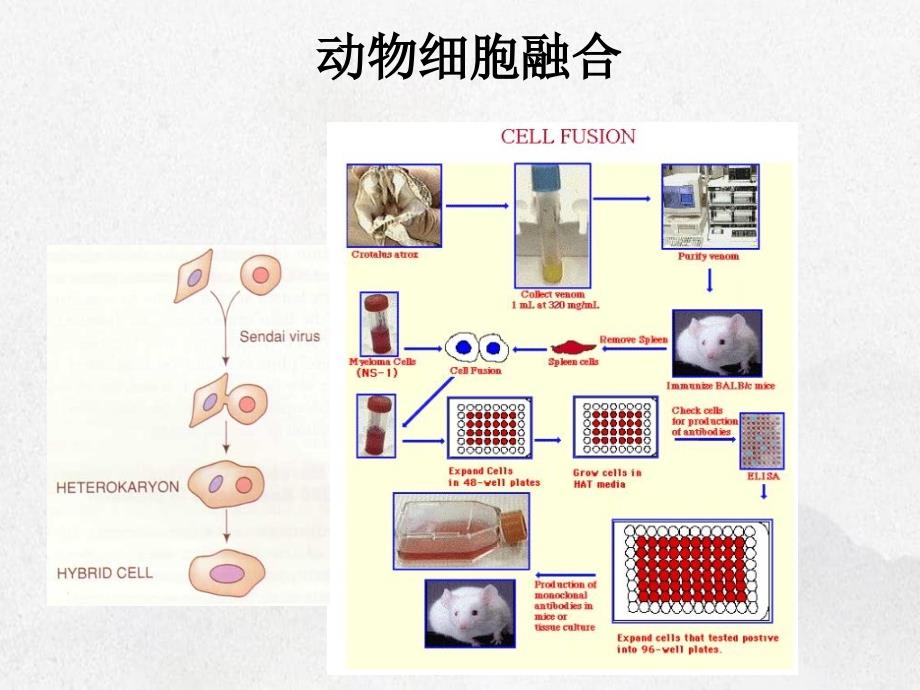 《制药工程设备》课件_第1页