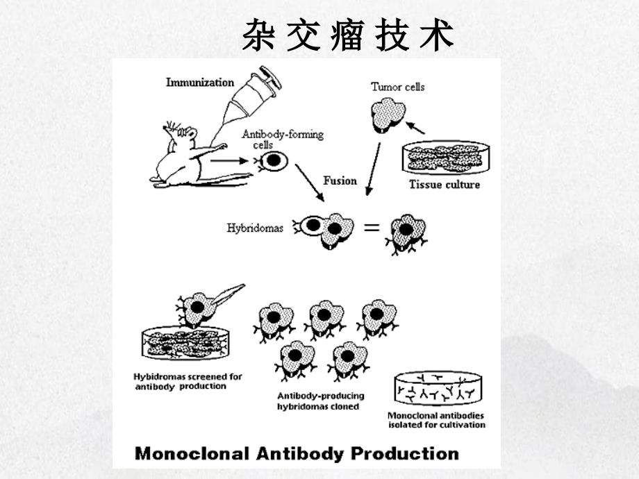 《制药工程设备》课件_第2页