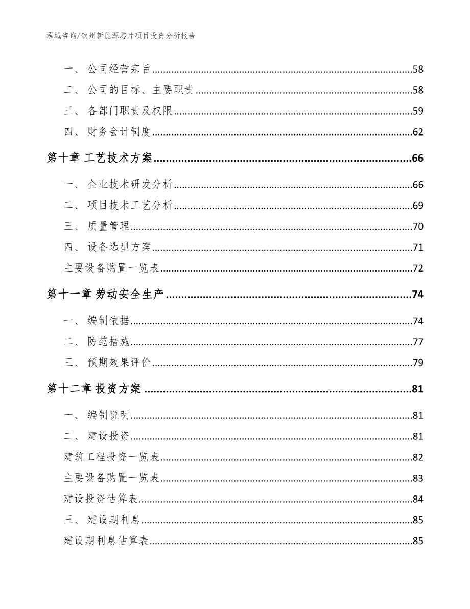 钦州新能源芯片项目投资分析报告模板_第3页