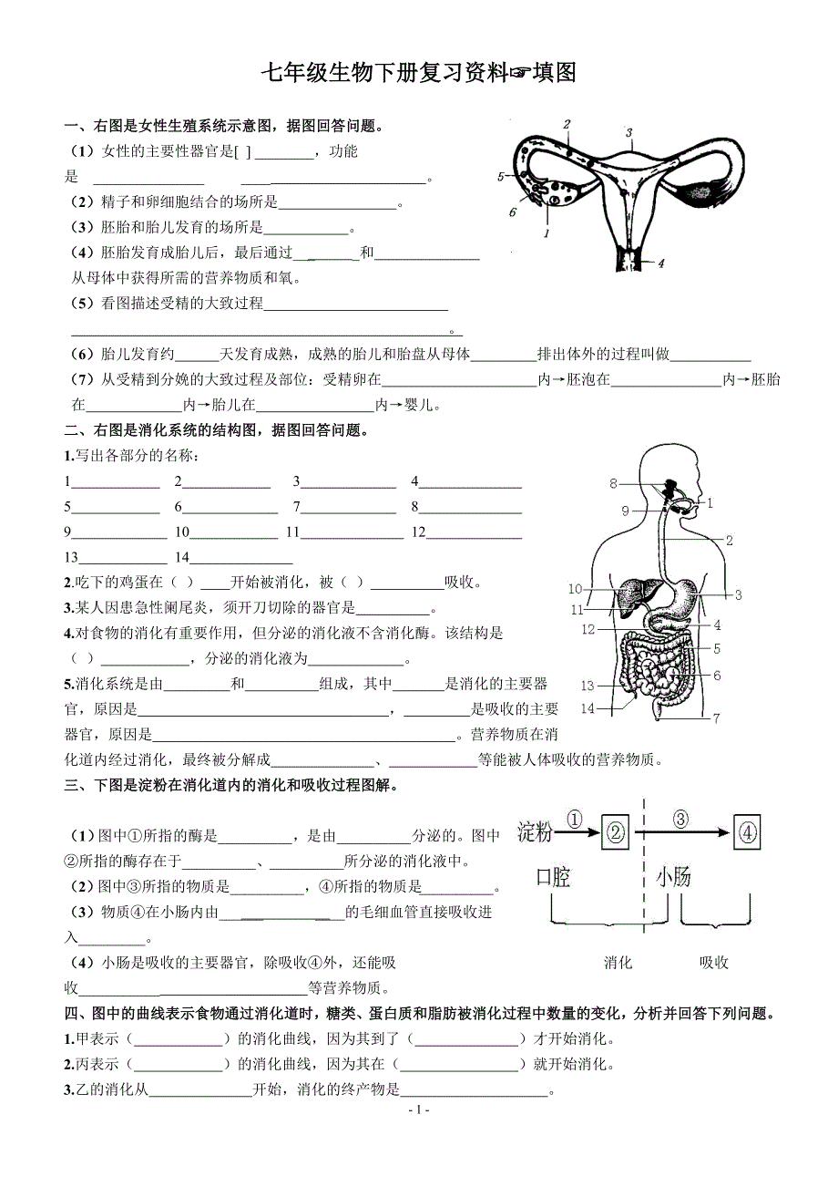 七年级生物下填图题(识图题)总复习_第1页