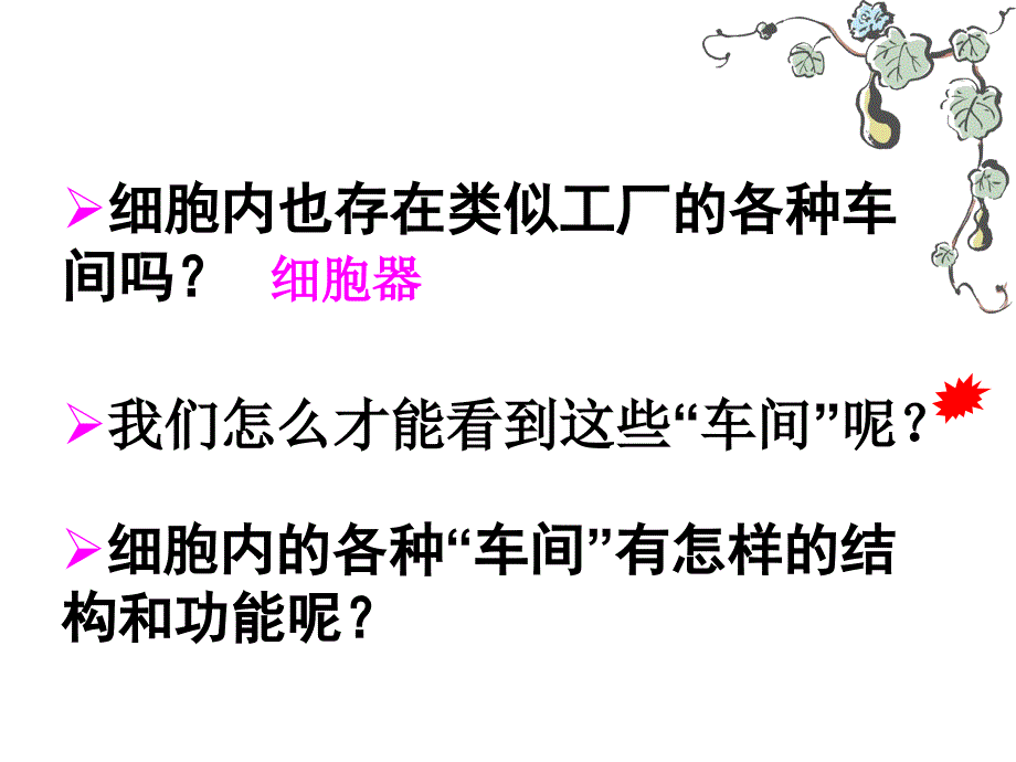 人教版教学ppt 细胞器——系统内的分工合作课件_第2页