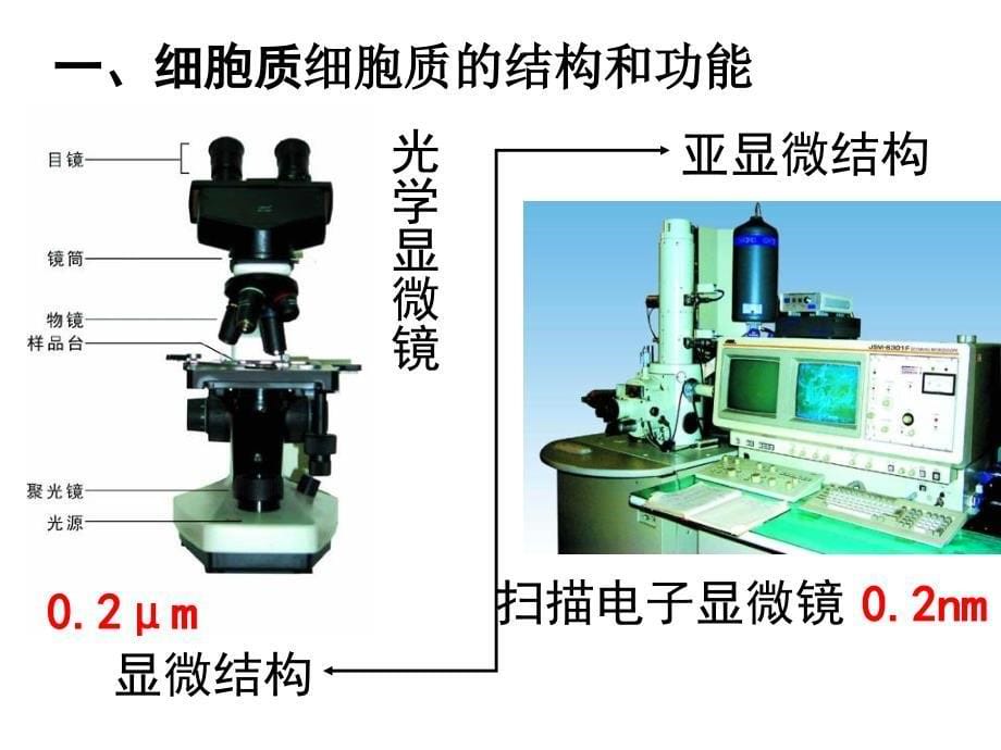 人教版教学ppt 细胞器——系统内的分工合作课件_第5页