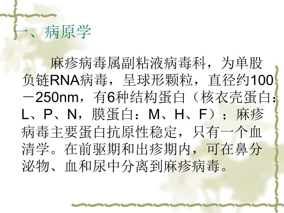 斑丘疹-敦煌医院课件_第3页