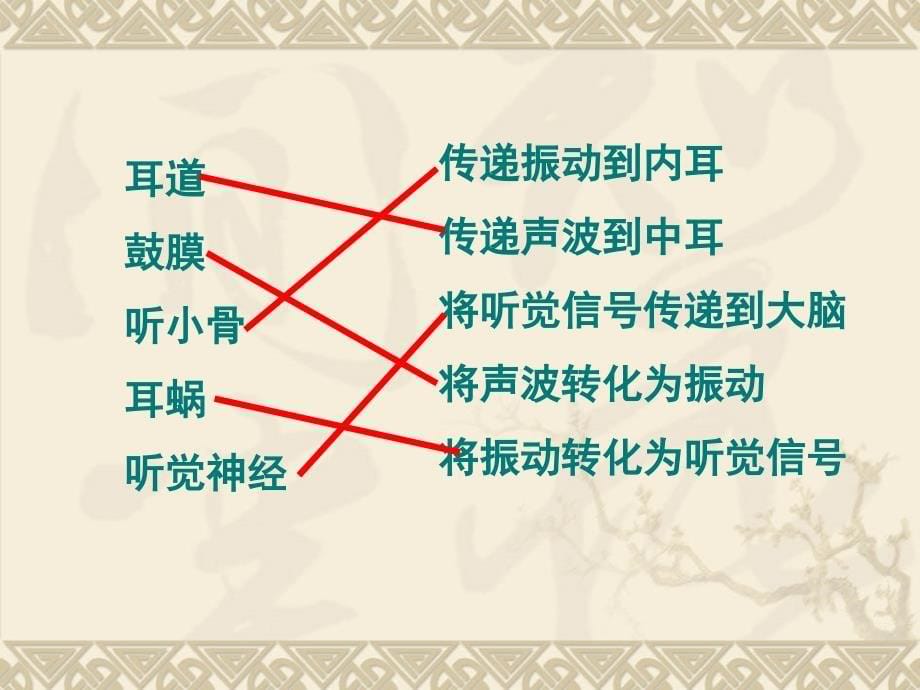 教科版小学科学四年级上册声音单元第六课 我们是怎样听到声音的_第5页