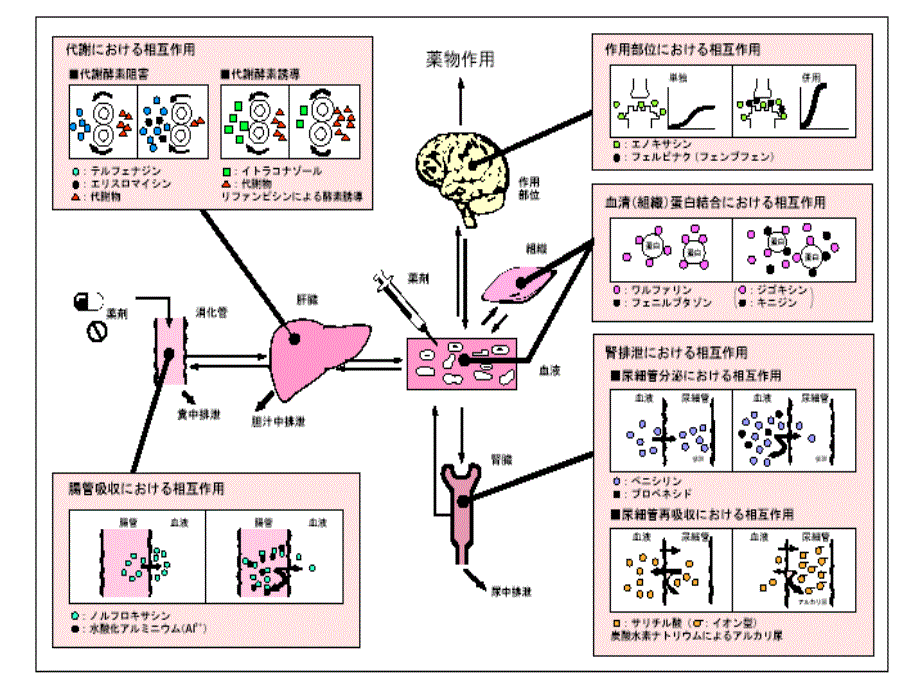 药物相互作用与案例分析_第3页