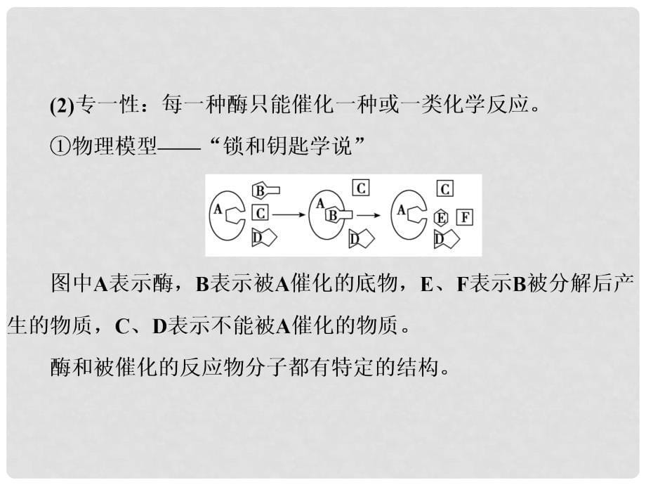 高考生物总复习 精彩三十三天（二十七）酶和ATP1课件_第5页