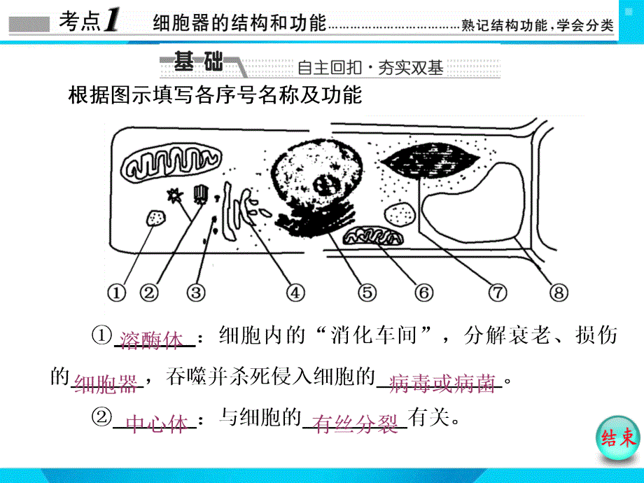 必修1第二单元第2讲细胞器与生物膜系统_第2页