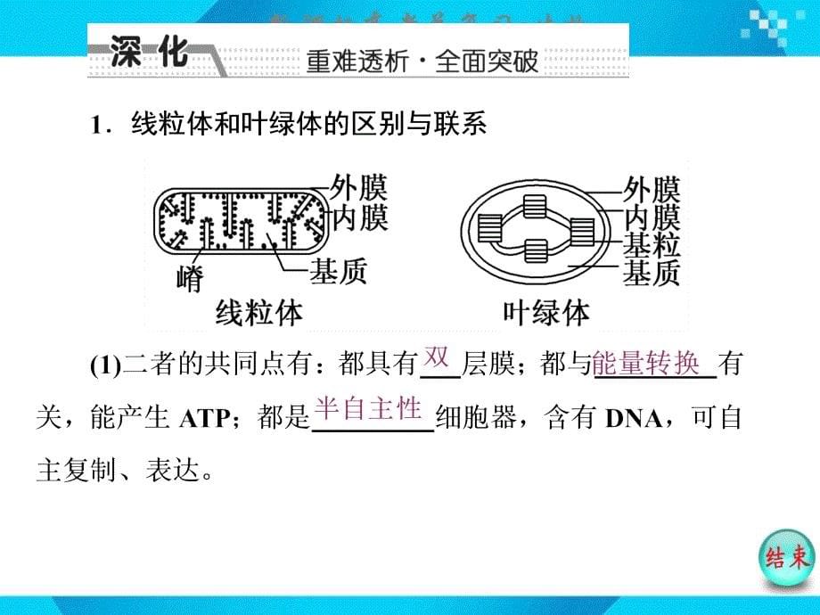 必修1第二单元第2讲细胞器与生物膜系统_第5页