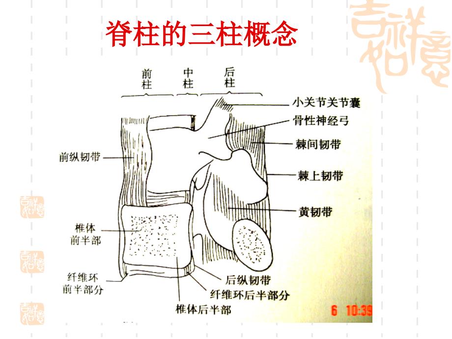 医学院(脊柱骨折)ppt课件_第4页