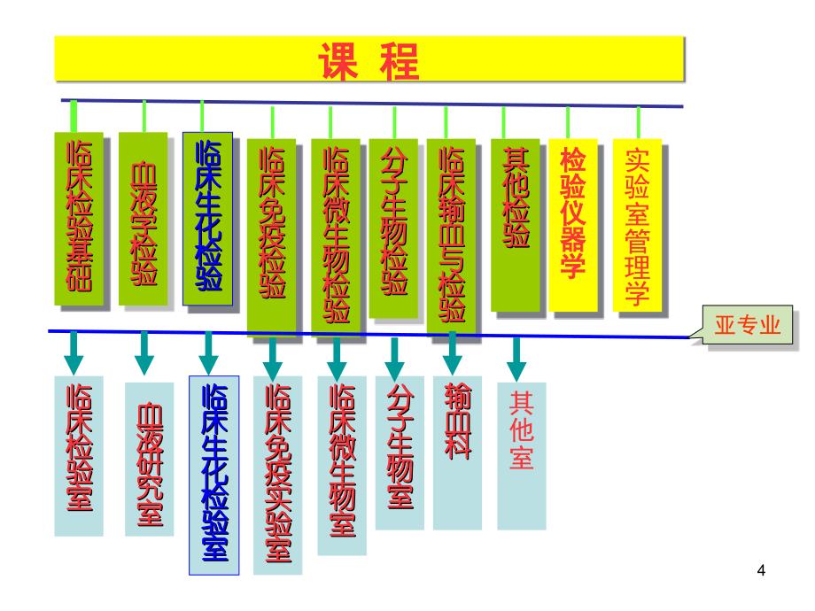 临床生物化学绪论_第4页