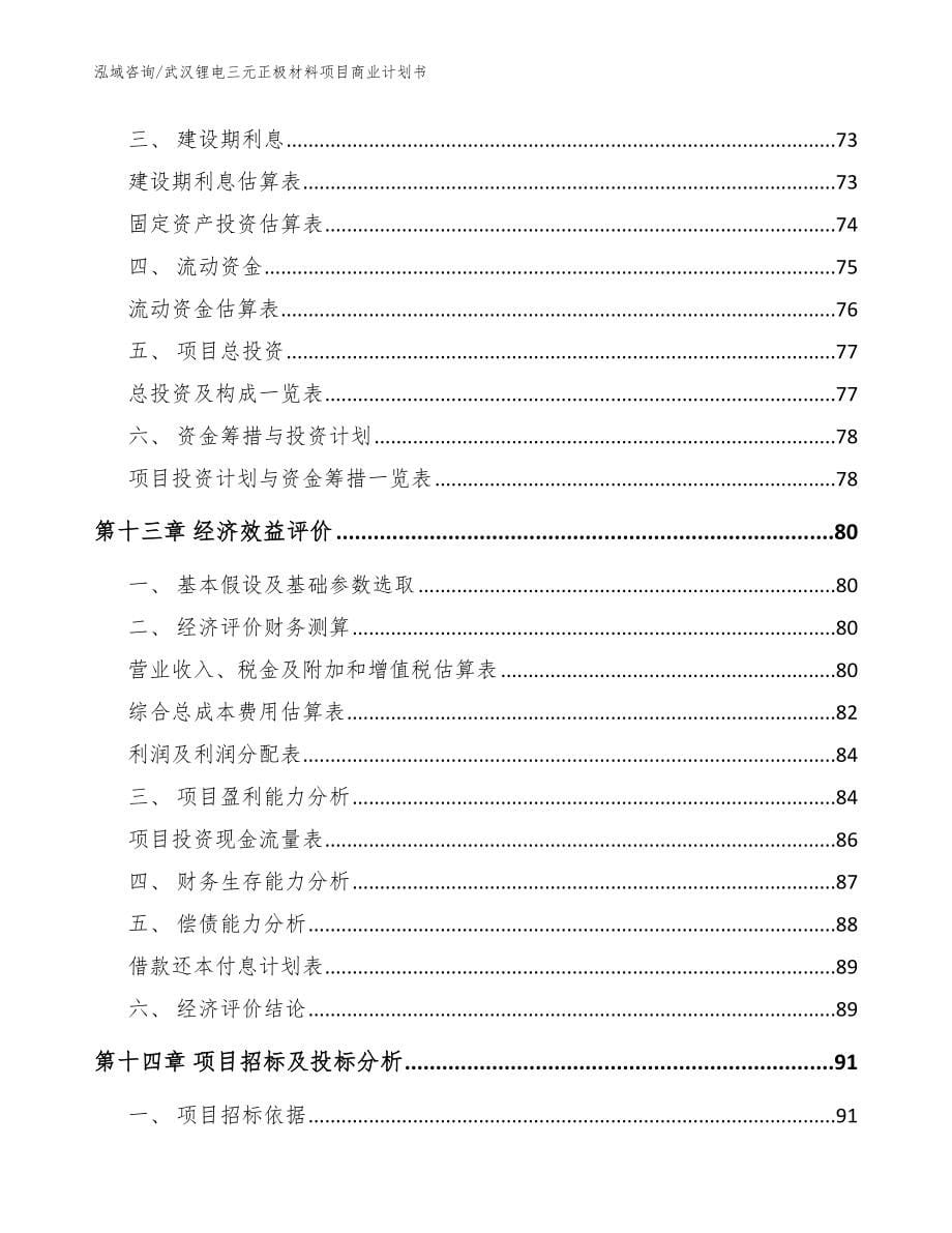 武汉锂电三元正极材料项目商业计划书【模板】_第5页