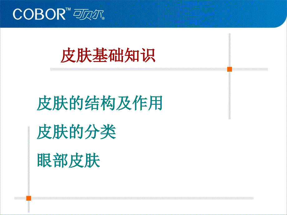 皮肤基础知识培训讲座1220_第2页