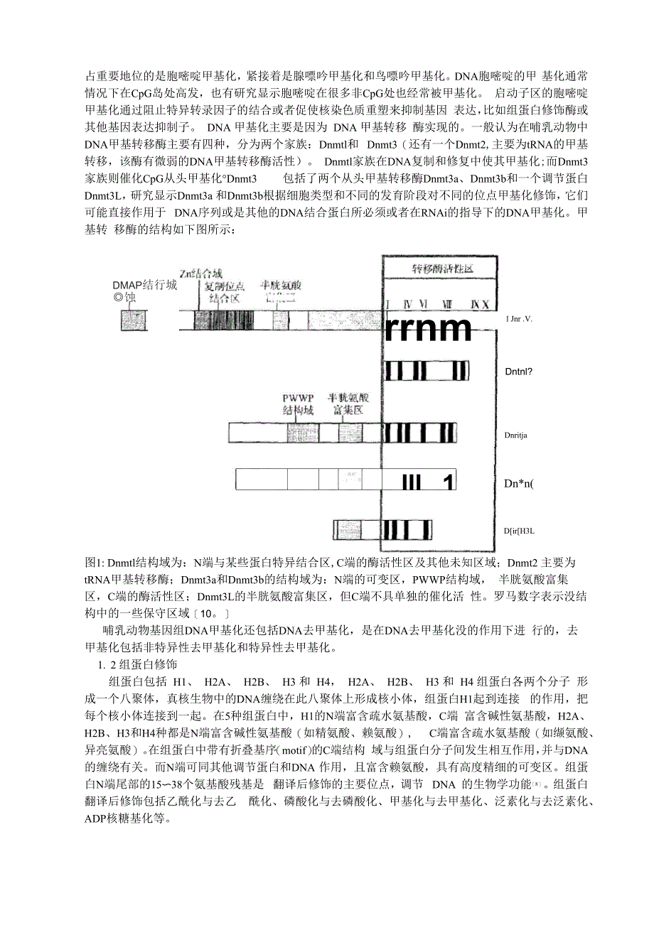 表观遗传学与疾病_第2页