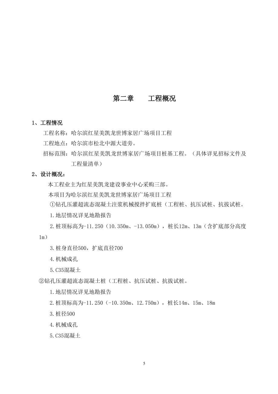 哈尔滨红星美凯龙世博家居广场项目桩基工程施工方案.doc_第5页