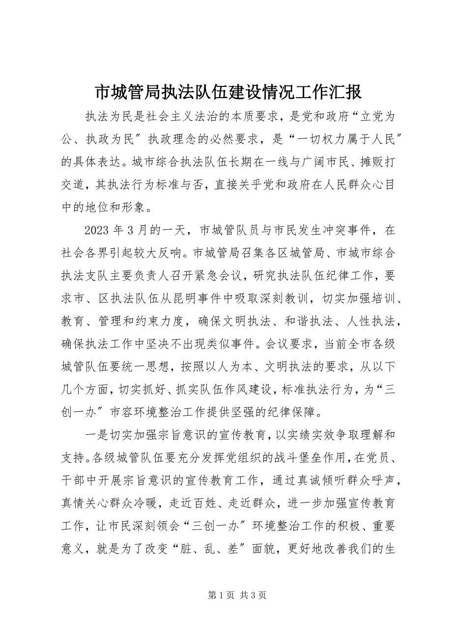 2023年市城管局执法队伍建设情况工作汇报.docx_第1页