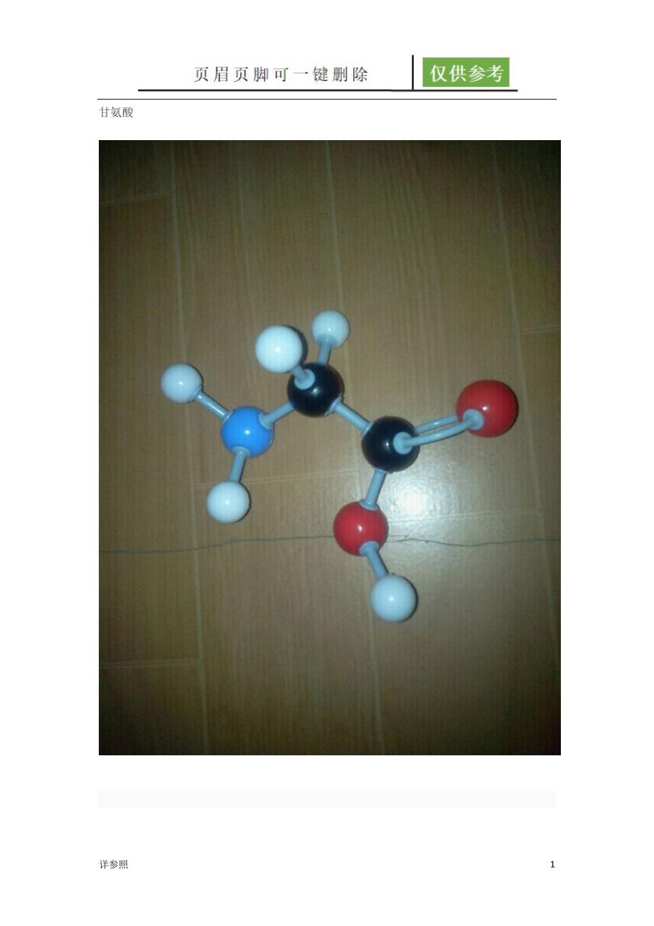 20种常见氨基酸球棍模型[稻谷文苑]_第1页