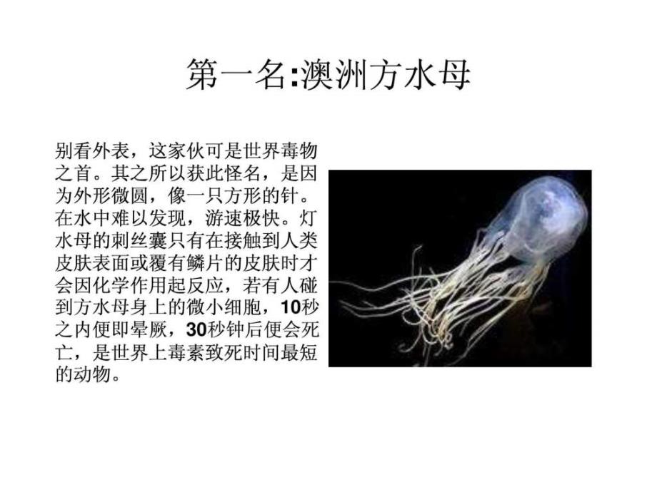 世界十大毒生物_第2页