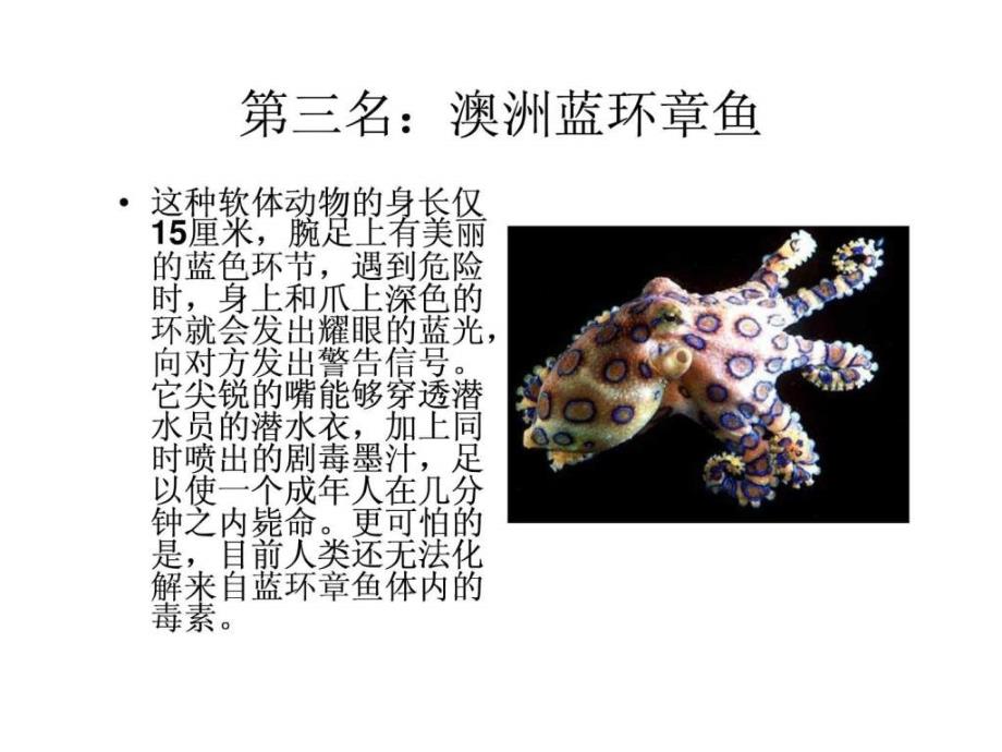 世界十大毒生物_第4页