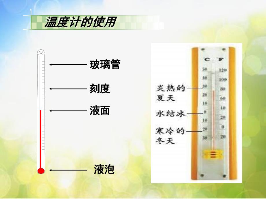 教科小学科学四上《1.3、温度与气温》PPT课件(3)_第3页