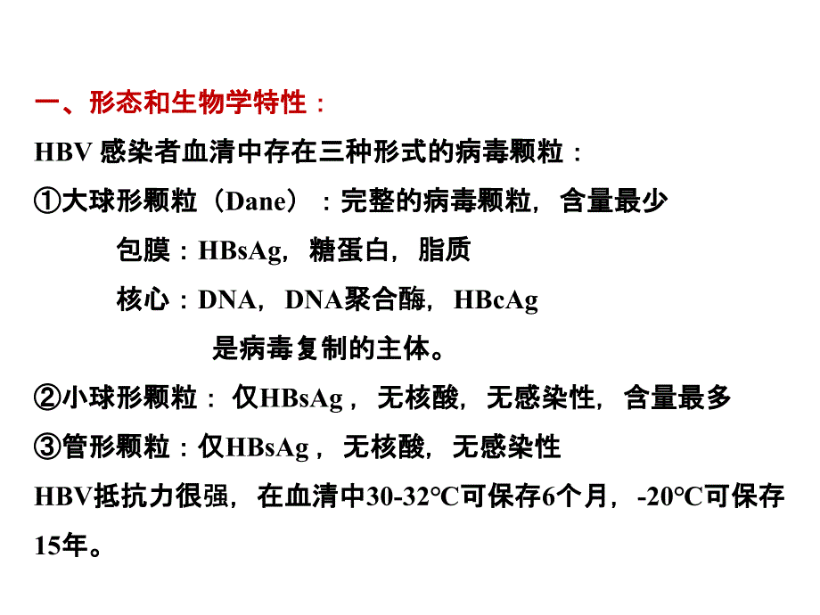 乙型肝炎PPT文档_第4页