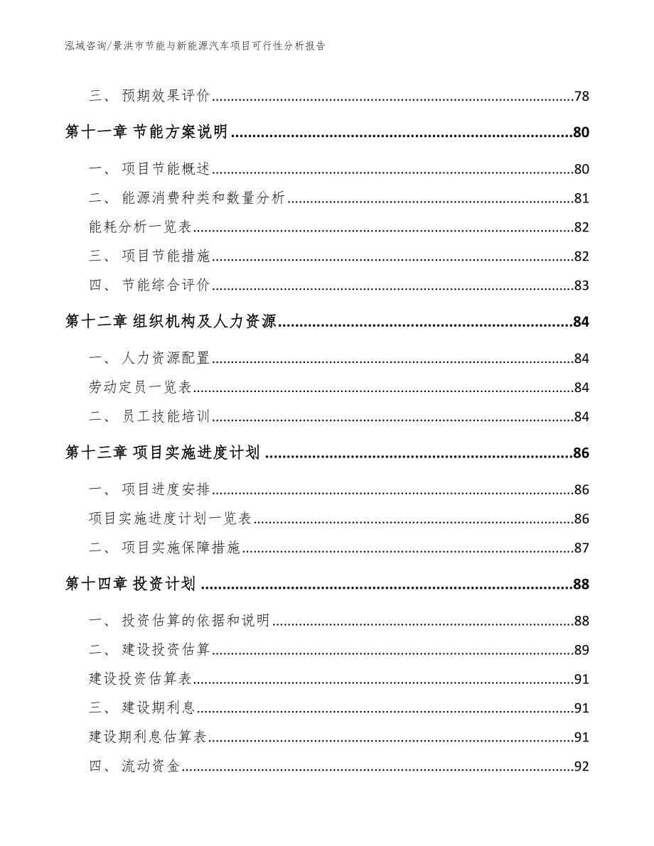 景洪市节能与新能源汽车项目可行性分析报告_第5页