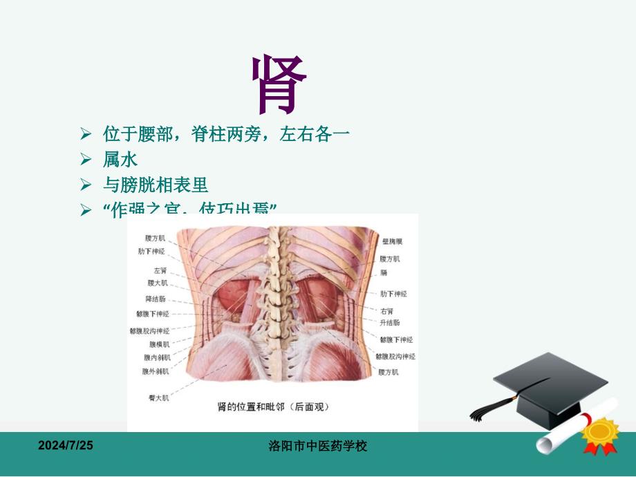 洛阳市中医药学校_第2页