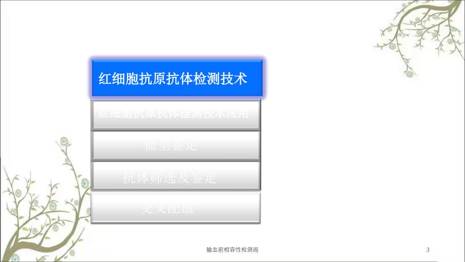 输血前相容性检测阎课件_第3页