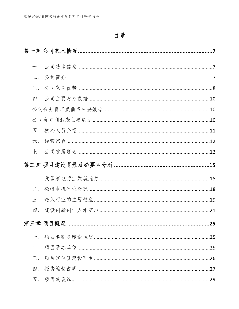 襄阳微特电机项目可行性研究报告_第1页