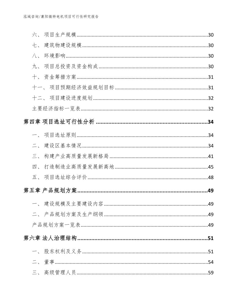 襄阳微特电机项目可行性研究报告_第2页