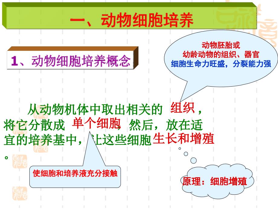 动物细胞培养和核移植技术ppt课件_第3页