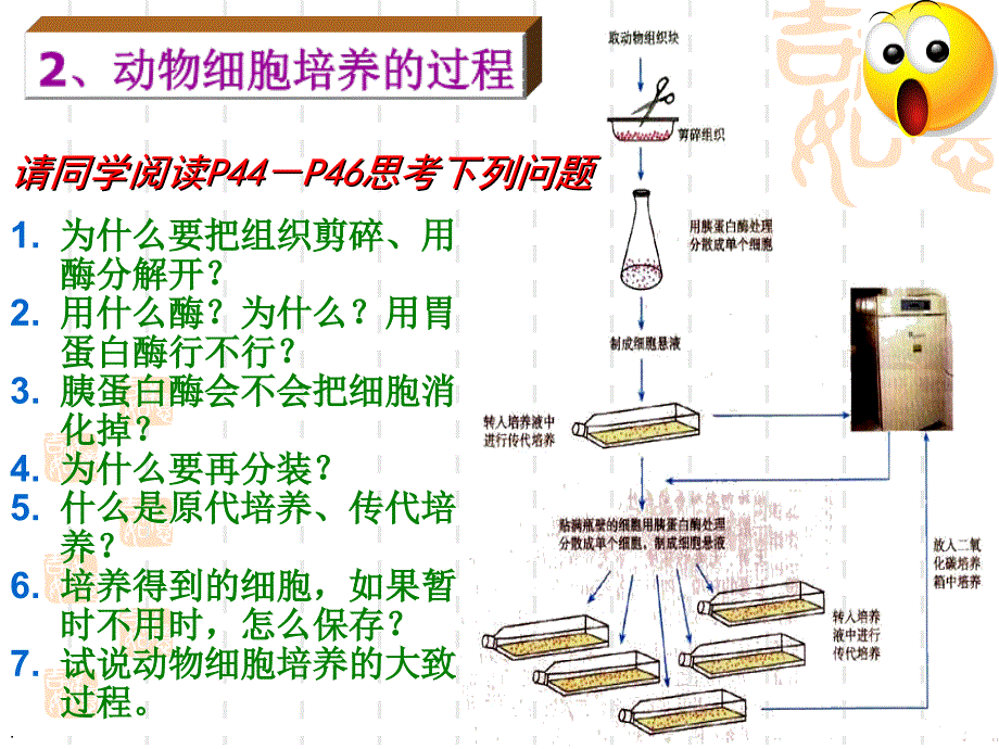 动物细胞培养和核移植技术ppt课件_第4页