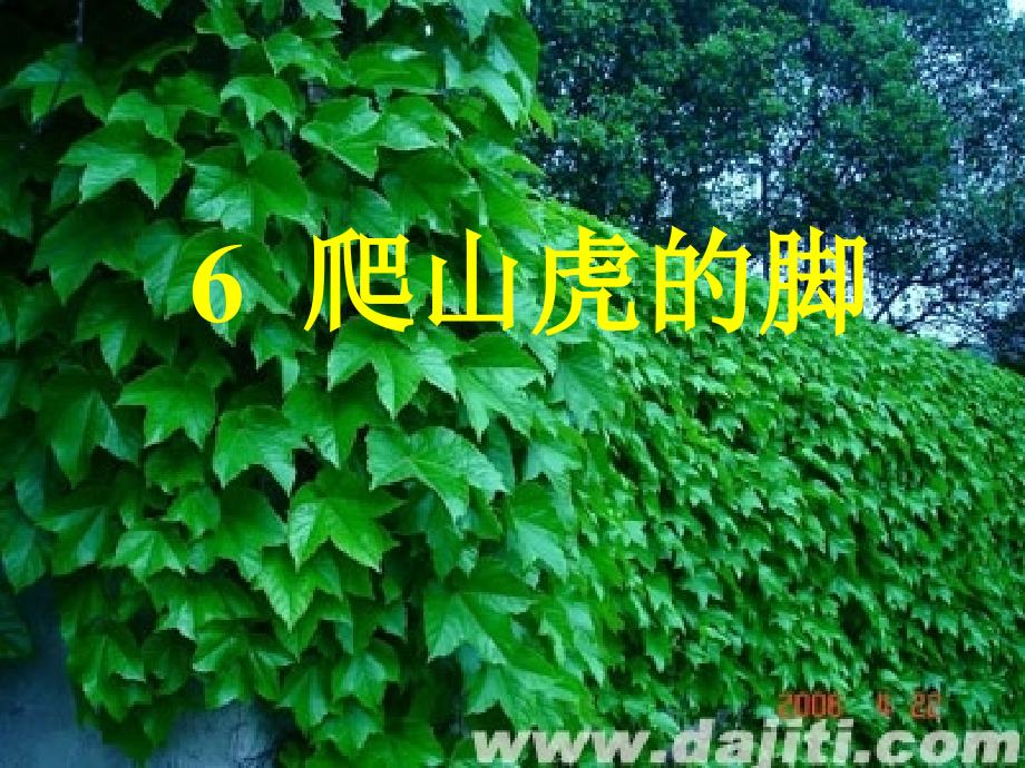 语文人教版四年级上册爬山虎的脚4_第1页