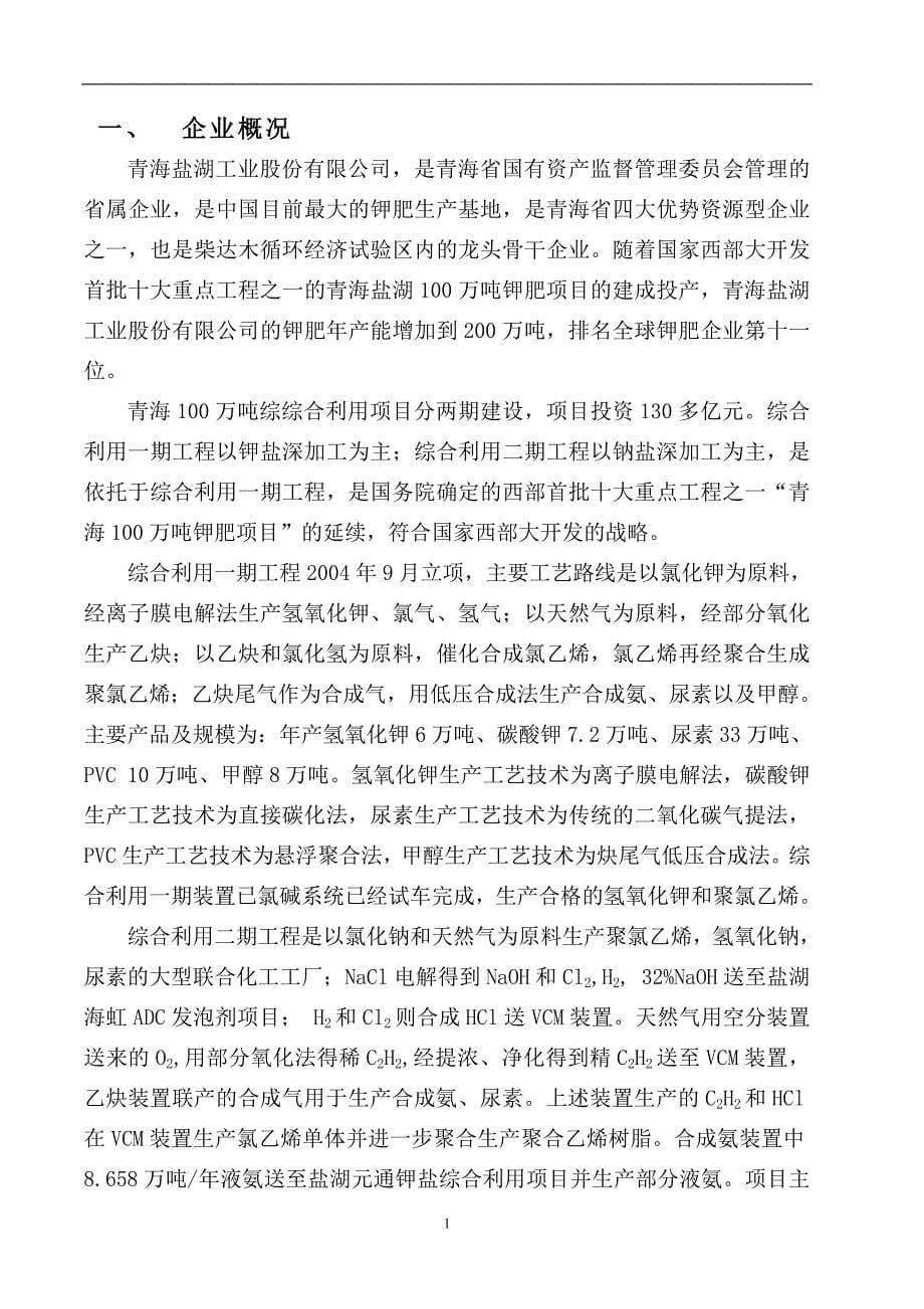 10万吨年离子膜氢氧化钠装置改13万ta-子膜氢氧化钾装置-技改项目可行性实施方案.doc_第5页