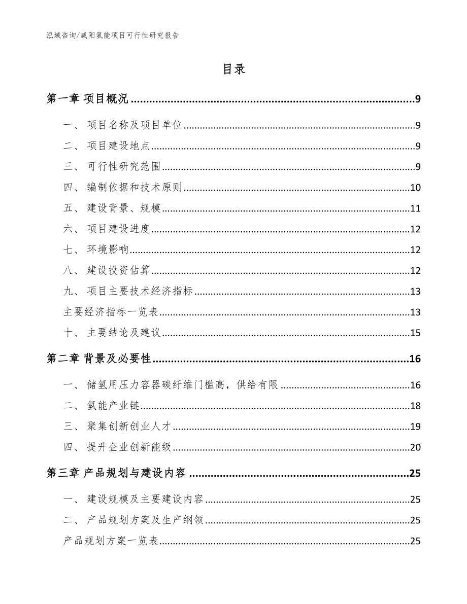 咸阳氢能项目可行性研究报告【参考范文】_第2页