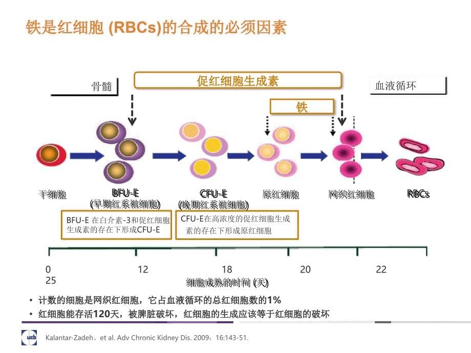 铁剂发展历史文档资料_第5页