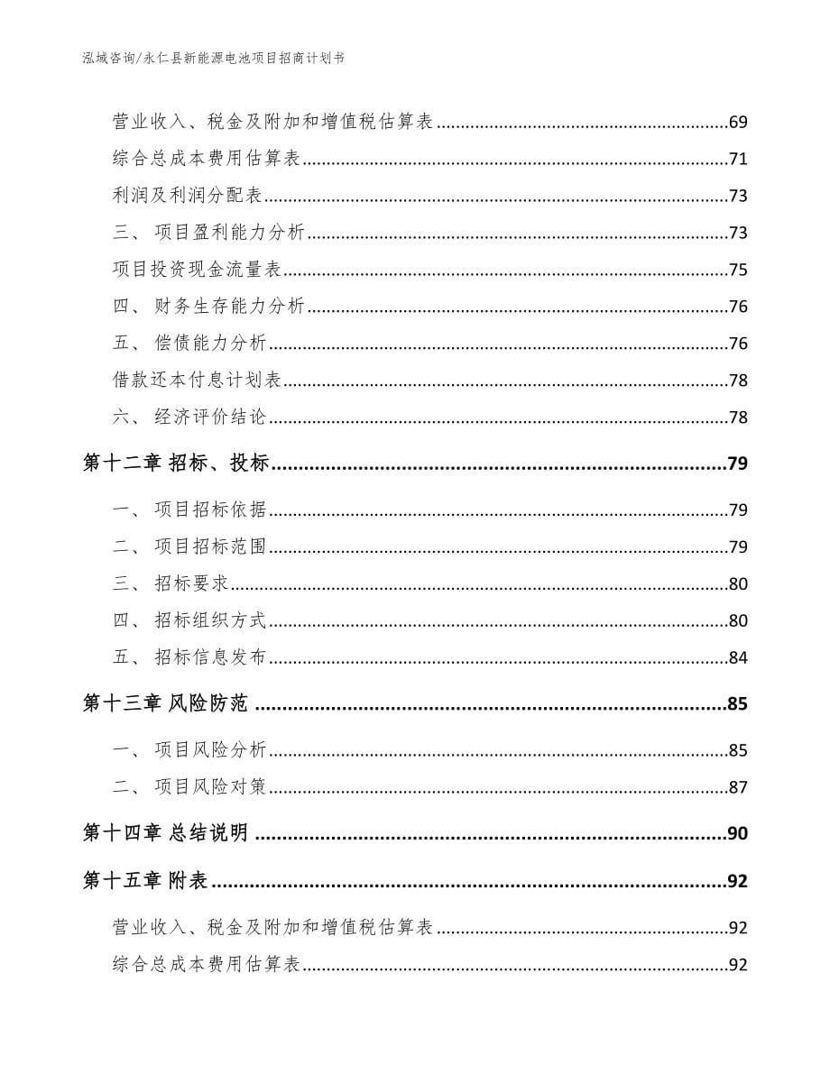 永仁县新能源电池项目招商计划书（模板范文）_第5页