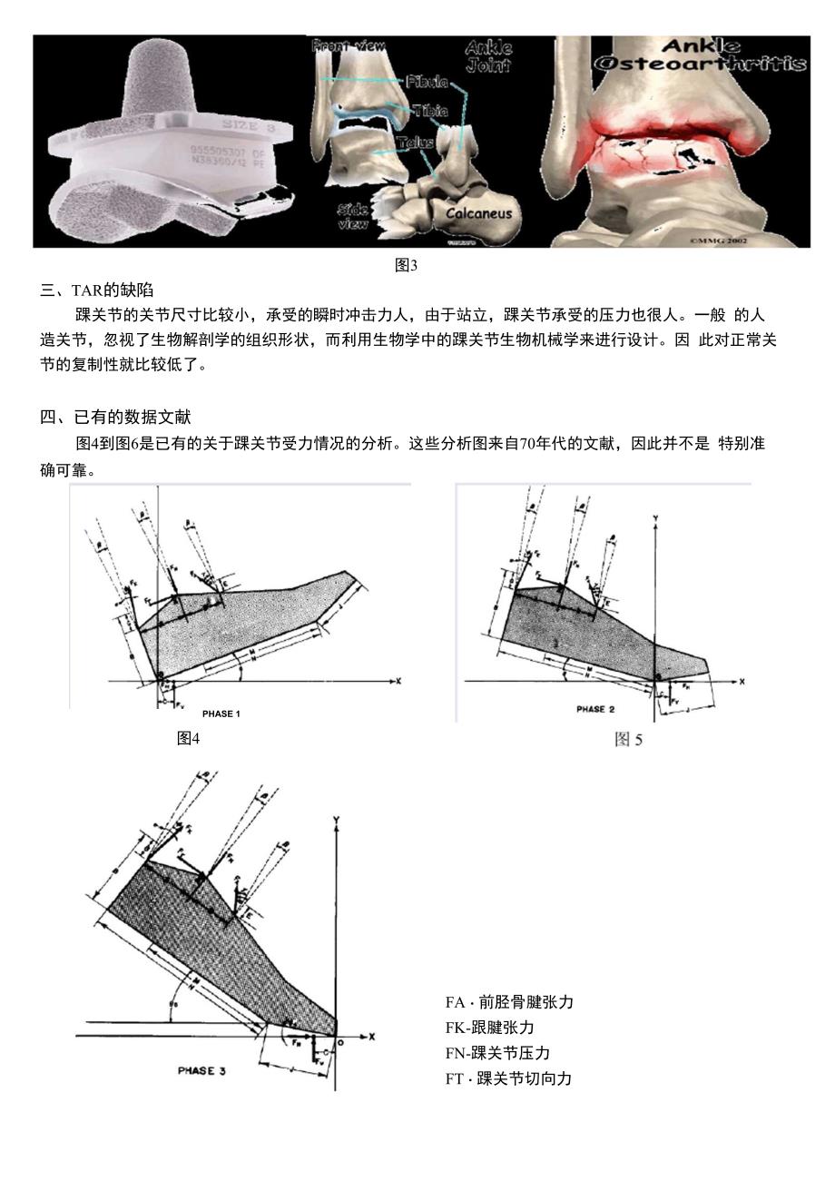 在平地行走时踝关节受力分析_第2页