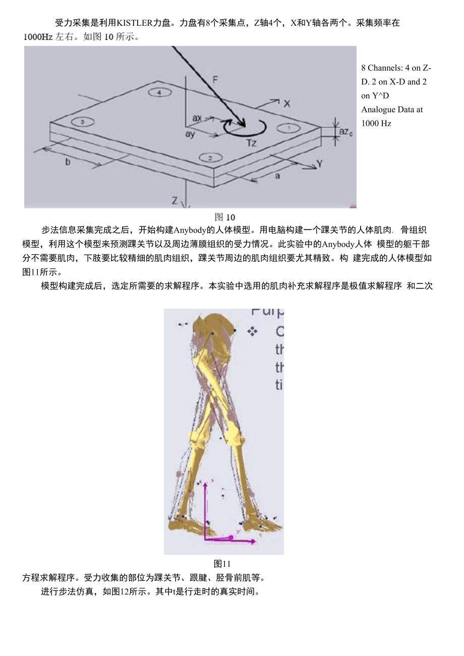 在平地行走时踝关节受力分析_第4页