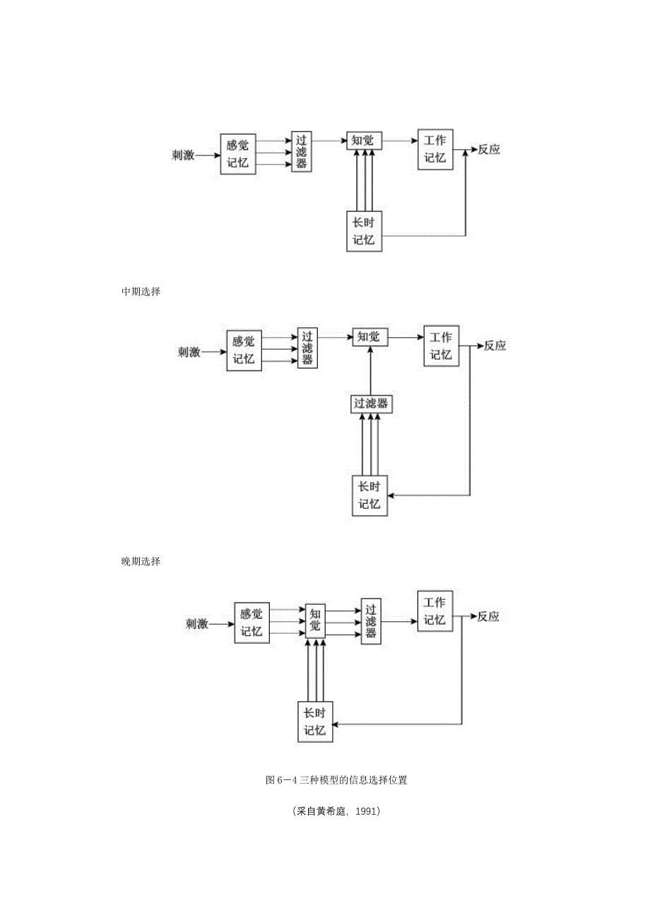 注意实验范式.docx_第5页