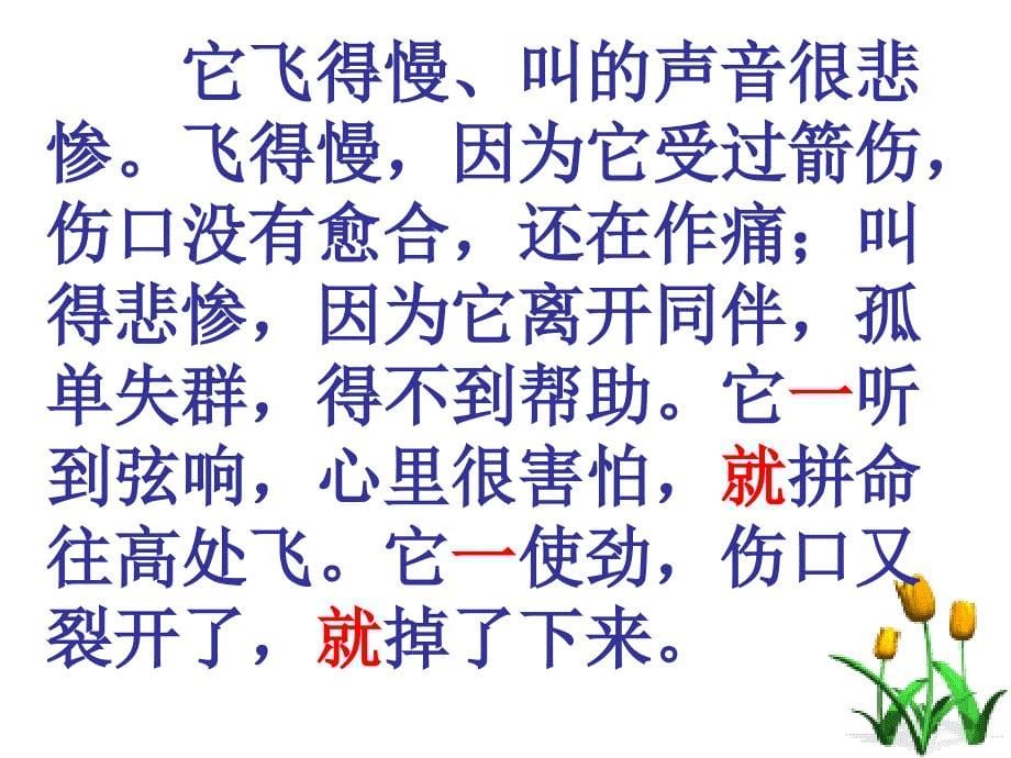 惊弓之鸟教学课件_第5页