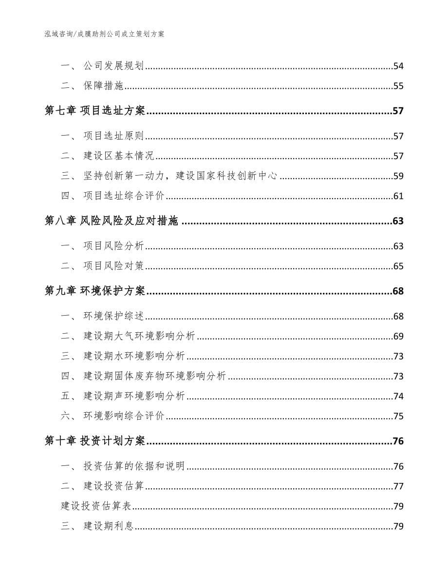 成膜助剂公司成立策划方案_模板范本_第5页