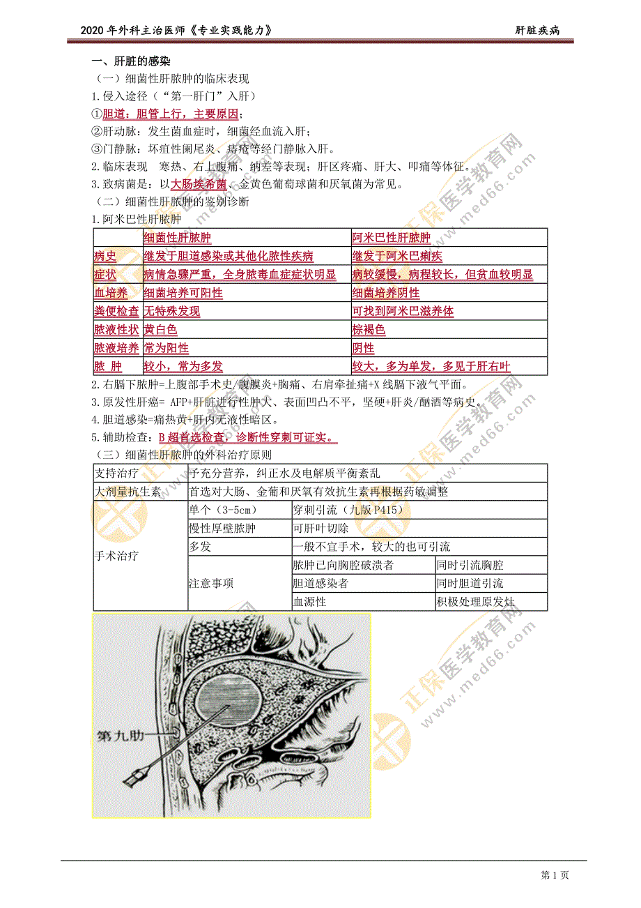 外科主治医师资格笔试专业实践能力考点解析 (14)：肝脏疾病.doc_第1页