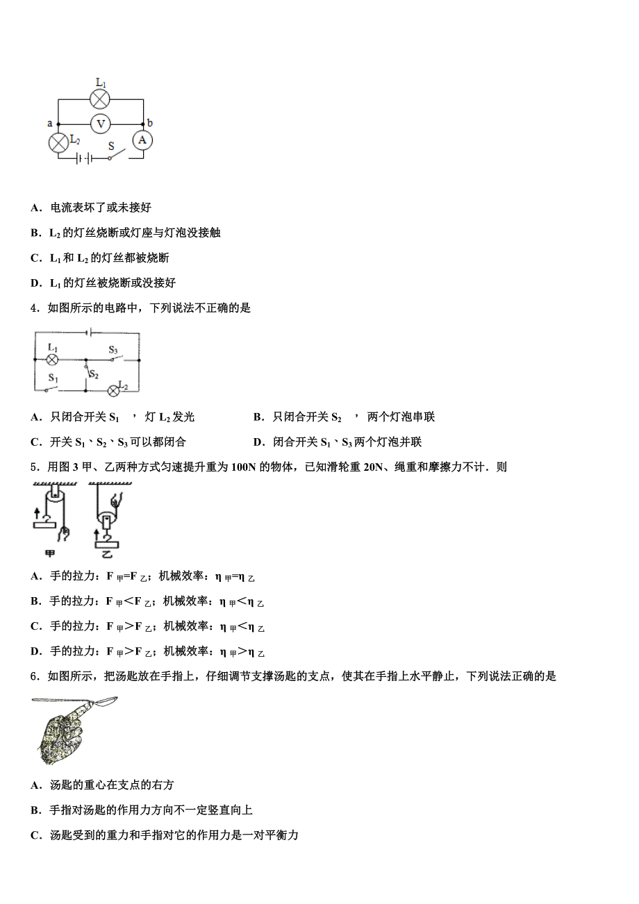 江苏省南通市如皋2023学年中考物理仿真试卷（含答案解析）.doc_第2页