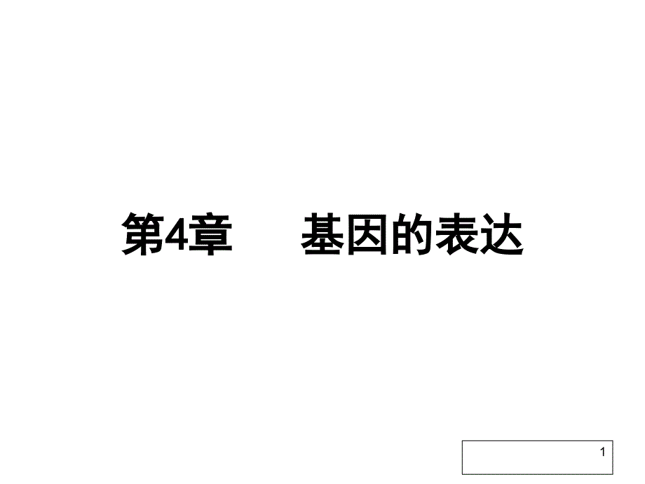 63基因指导蛋白质的合成高考第一轮复习_第1页