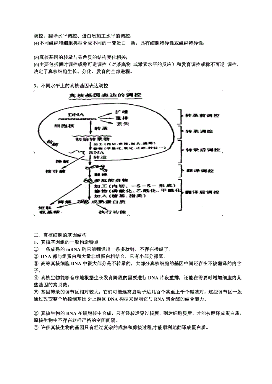 第八章真核基因的表达调控_第2页