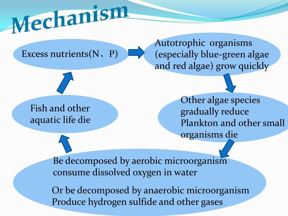 水体富营养化英文PPT_第3页
