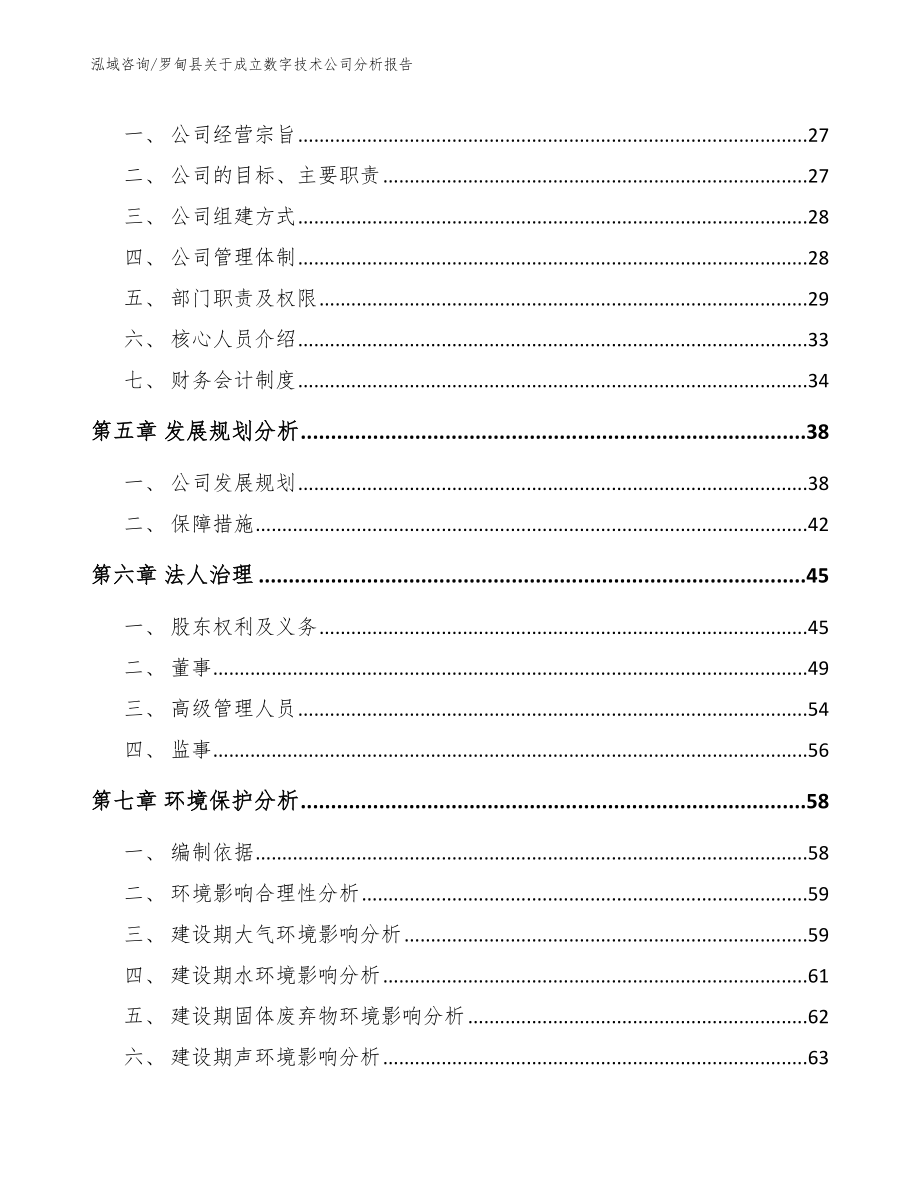 罗甸县关于成立数字技术公司分析报告_第3页