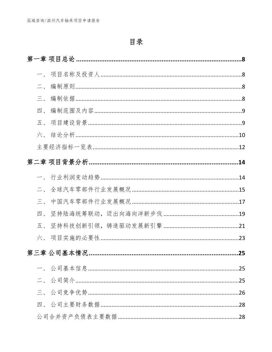 滨州汽车轴承项目申请报告（模板）_第1页