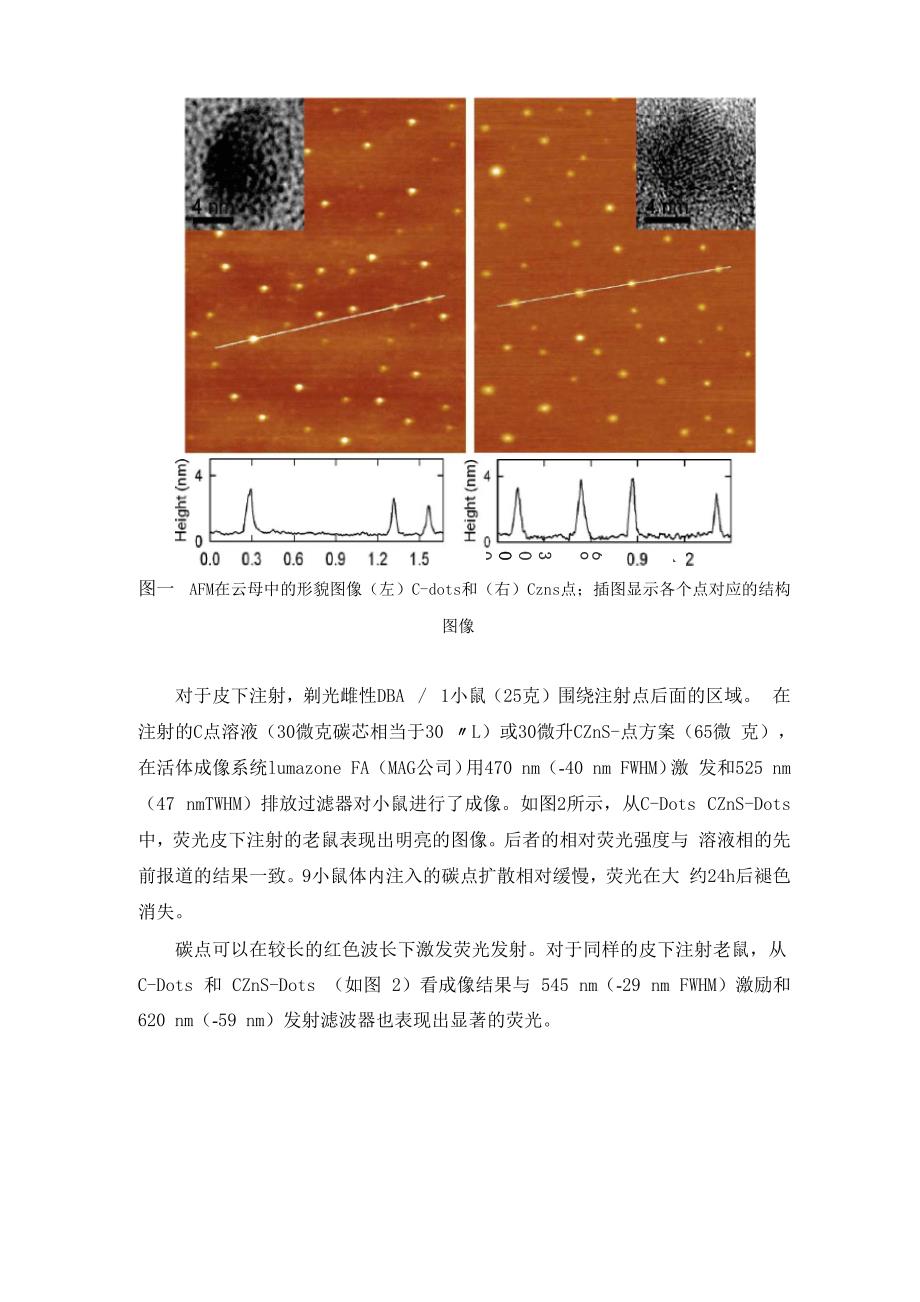 碳量子点在活体光学成像_第3页